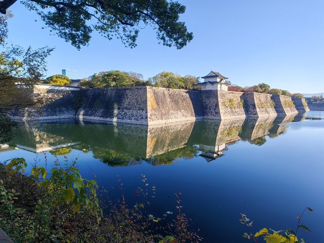 日本關西紅葉季七天遊