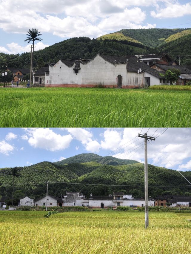 湖南旅遊｜夢中的湘南田園-周家大院