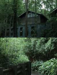 探尋阿哈湖濕地公園