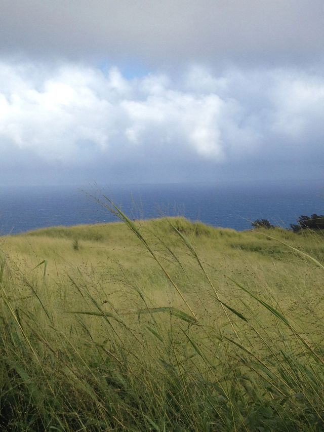 夏威夷島（大島）