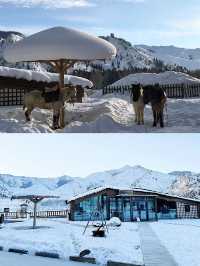 新疆只有0次和無數次，阿勒泰的雪景太愛了