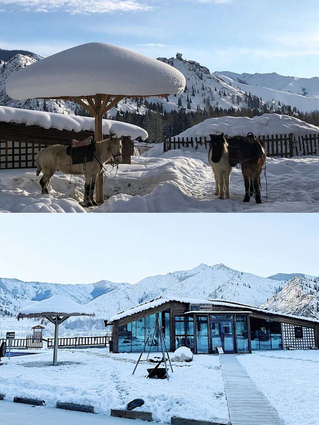 新疆只有0次和無數次，阿勒泰的雪景太愛了