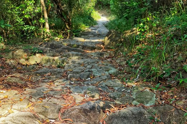 登鳳凰山古道～思古幽今，放飛心情