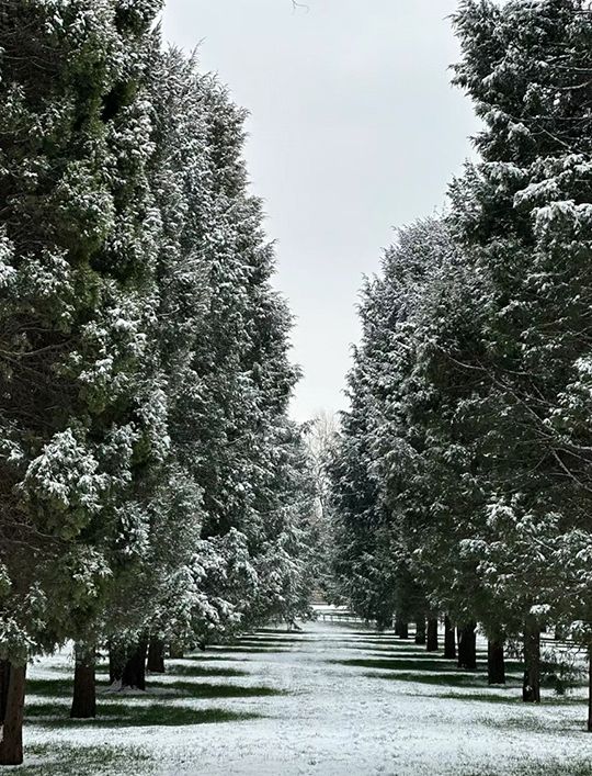 北京雪景｜天壇公園