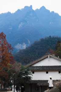 森林療癒之旅，山谷躺著看雲海湖北武當山民宿