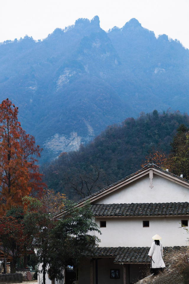 森林療癒之旅，山谷躺著看雲海湖北武當山民宿