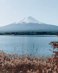 🗻✨ Mt. Fuji's Unique Perspectives: A Fresh Angle Unveiled! 🤭