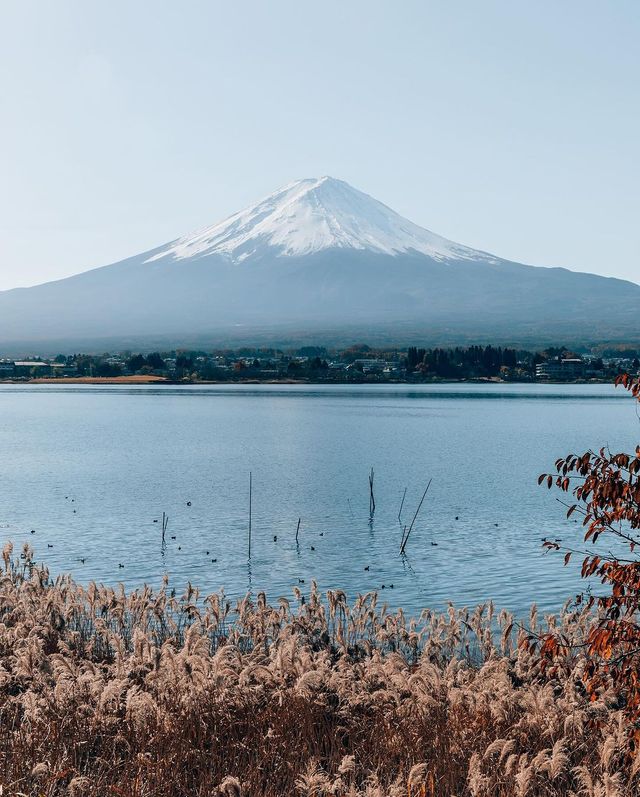 🗻✨ Mt. Fuji's Unique Perspectives: A Fresh Angle Unveiled! 🤭