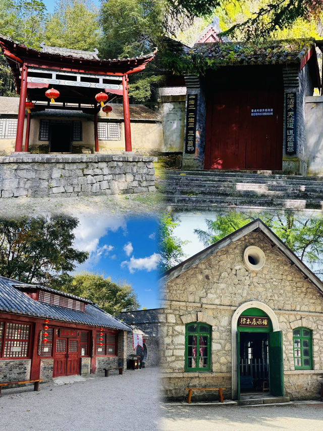 百年林海威虎山