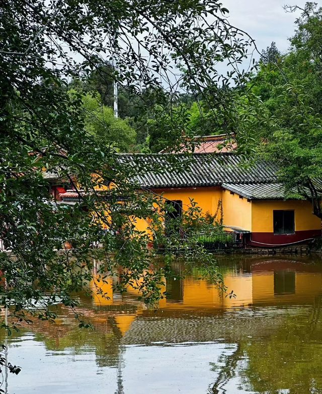 昆明（黑龍潭公園）