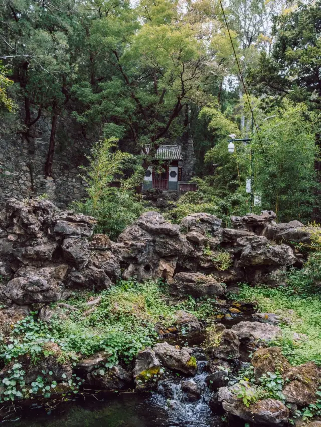 北京在碧雲寺,過個清淨禪意的秋