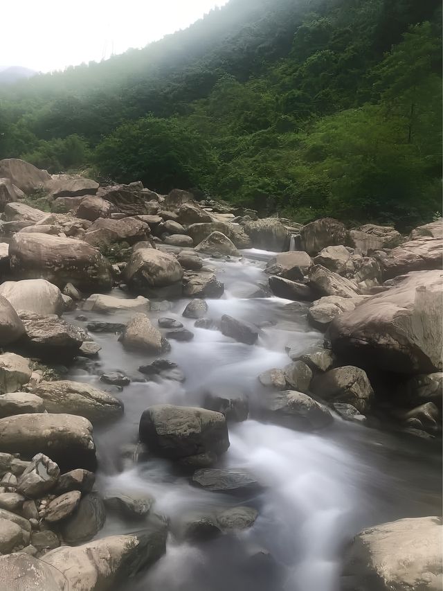 不想citywalk了！我只想山裡躺平
