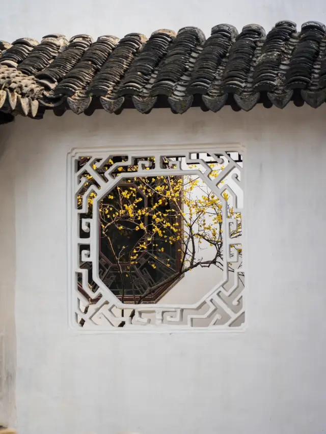 In Suzhou, I saw the 'foot-wide window, no heart painting' in the poetry