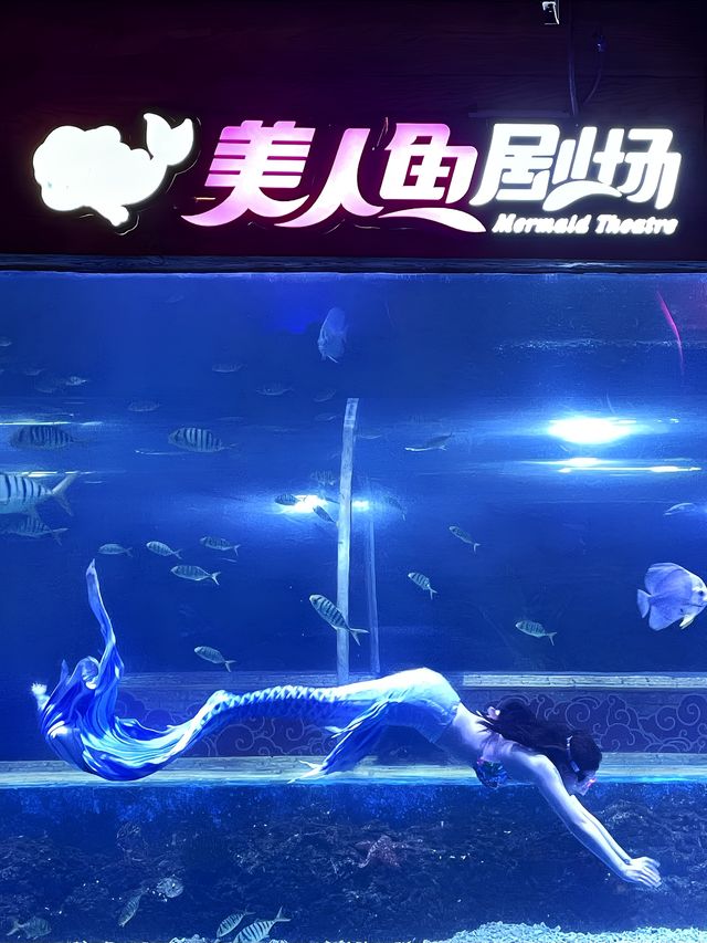 春節去哪兒？一站式體驗海洋世界的快樂