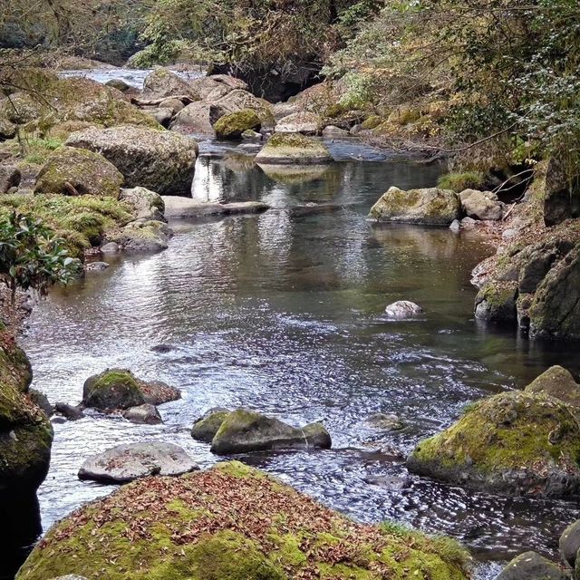 菊池溪谷，流水潺潺中的靜謐時光