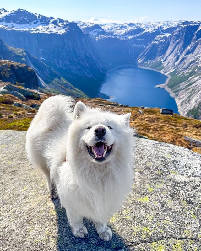 😁✨ Unleash Your Inner Explorer in Norway! Discover the Best Hiking Trails and Fjords 🏔️⛰️