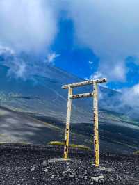 東京·富士山賞櫻一日遊