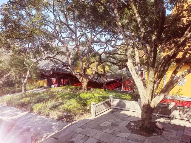 The evening bell at Nanping echoes, Jingci Temple is filled with joy