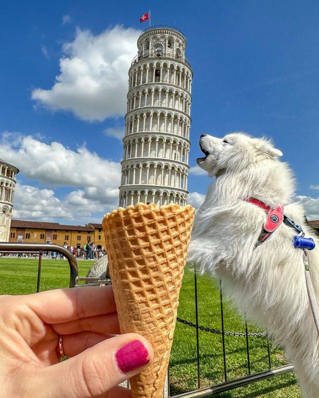 "Disappointing Ice Cream Experience! 😤 Don't Miss These Throwback Photos from Pisa! 📸 Happy Weekend Vibes! 😍