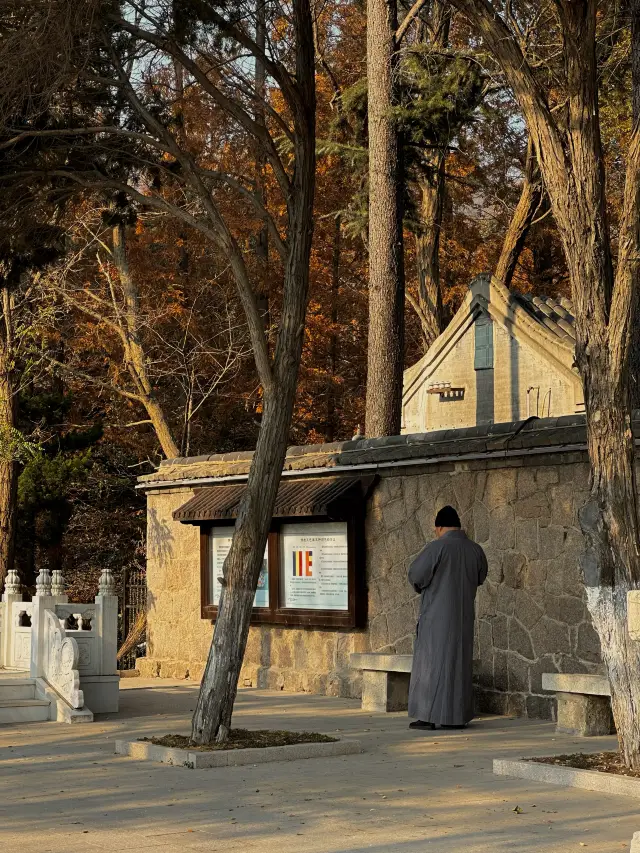 青島湛山寺！總要去一次湛山寺祈福吧（附攻略