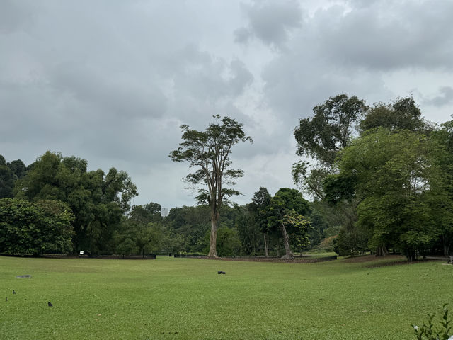 新加坡植物園不完全探索