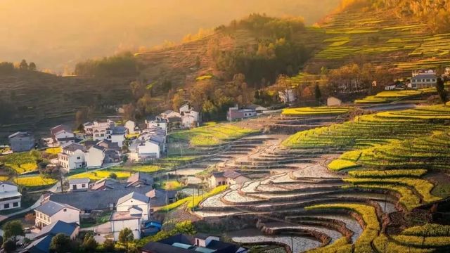 徜徉月河川道，賞清代鳳堰古梯田油菜花海