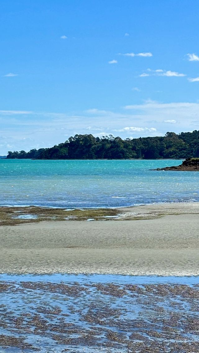 探索神秘奧克蘭！你的終極旅遊攻略來啦！