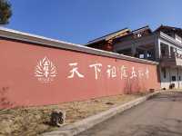禪的生命始於開悟！