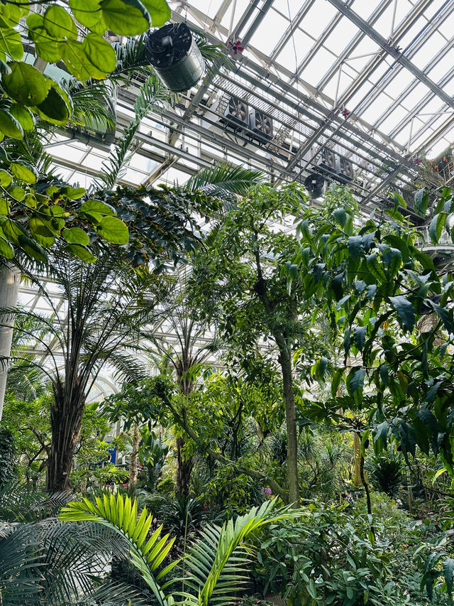 上海植物園溫室展