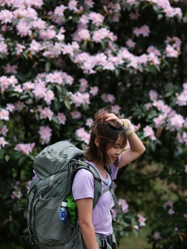 即使不能到達武功山，鸡笼顶的美景也足以讓人驚艷