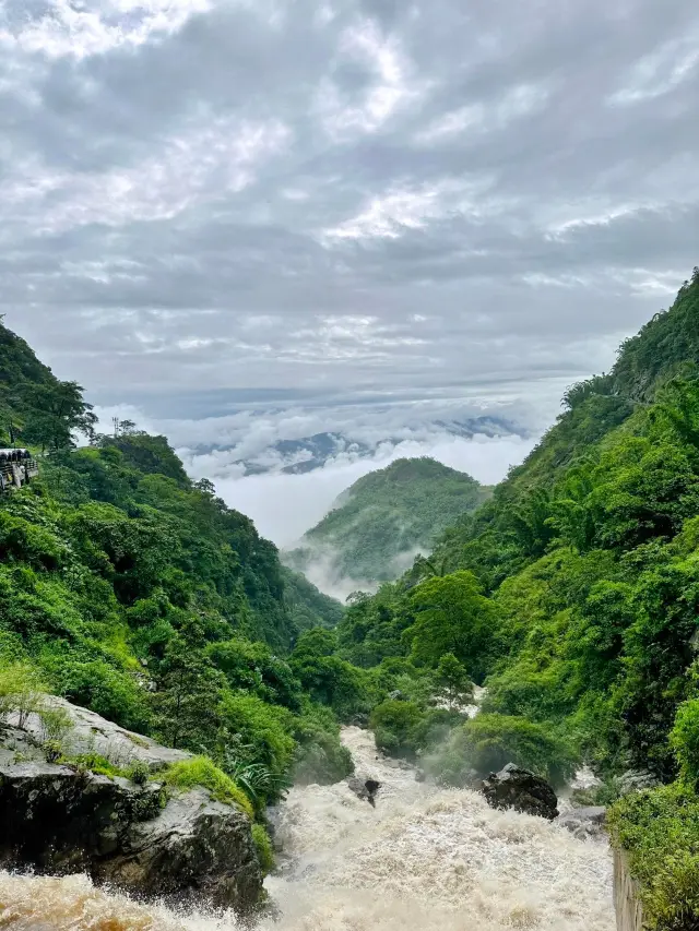 我聽見來自山野的聲音現實版的暮光森林