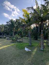 沖繩·東南植物樂園｜赴一場童話般的綠野仙蹤
