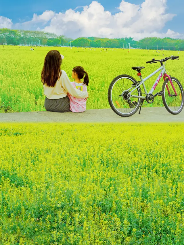 Spring Cycling, Camping and Flower Viewing | Places in Guangzhou Where You Can Stay for a Day Without Spending Money