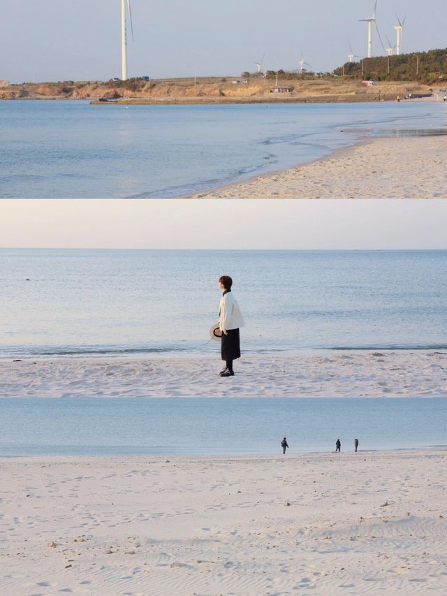 體驗威海春天的浪漫！三日遊，拍出不同的海！