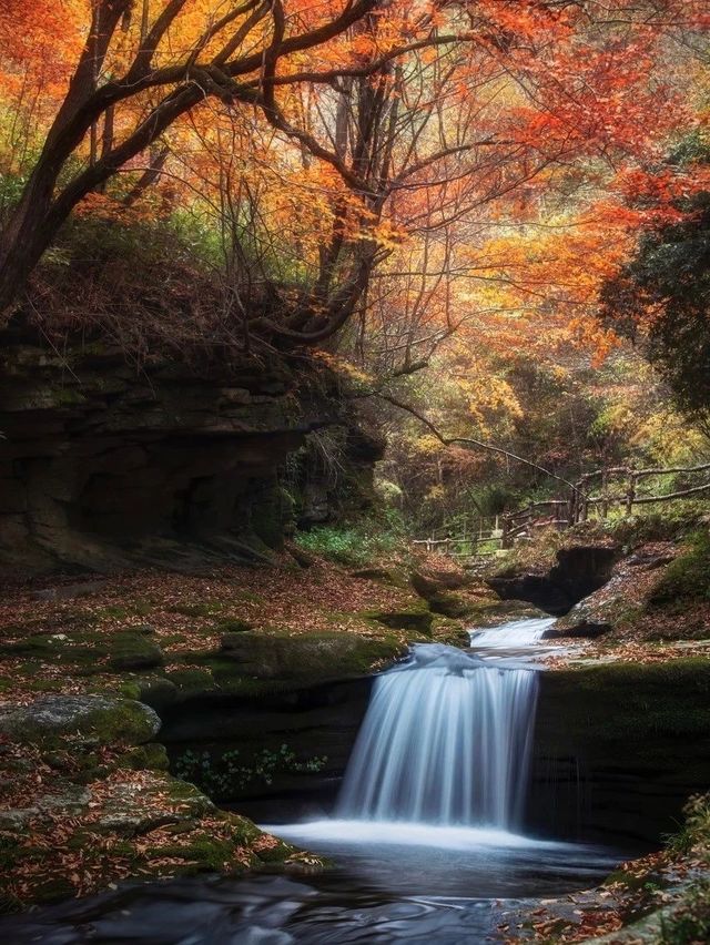 寶藏賞秋之旅紅色阿爾山拍照出片賞秋好去處