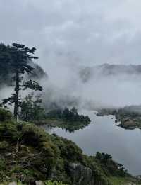 陰雨天的南極洛是仙境一般的存在