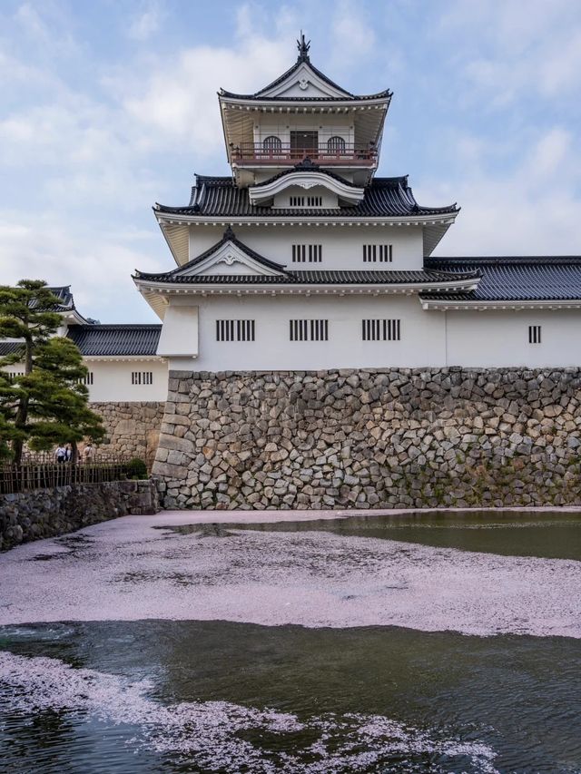 富山之旅：探索年輕之美與璀璨風景