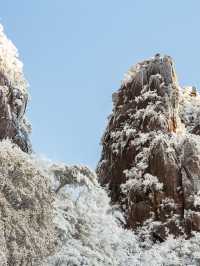 別只盯著東北，三清山的霧凇雪景也超美哒！