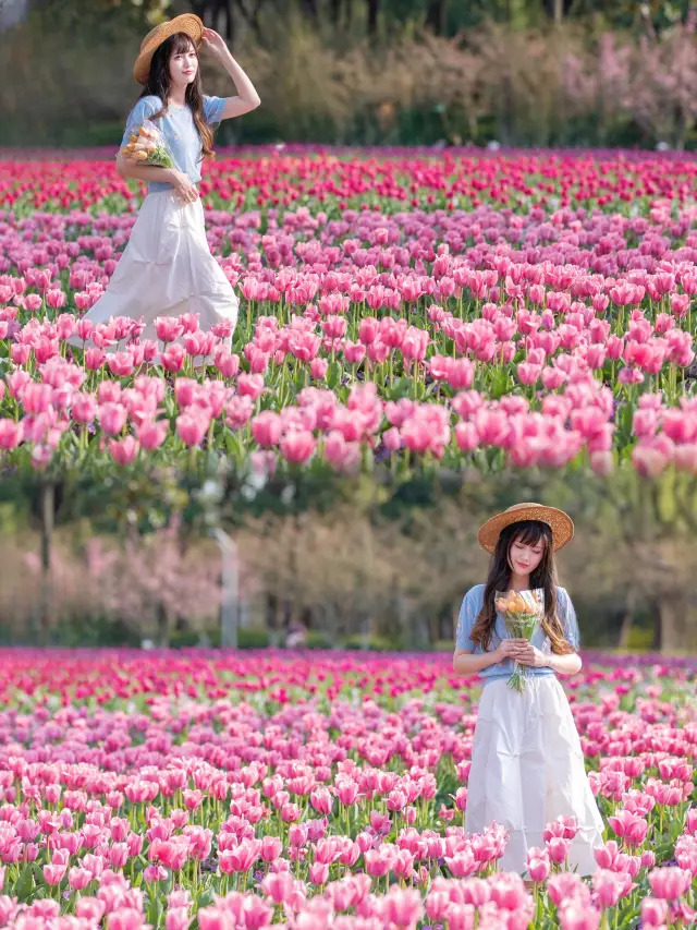 No need to go downtown! People in Minhang also have their own tulips