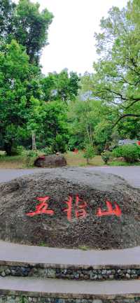 海南熱帶雨林國家公園，春日旅遊探索自然的絕去處