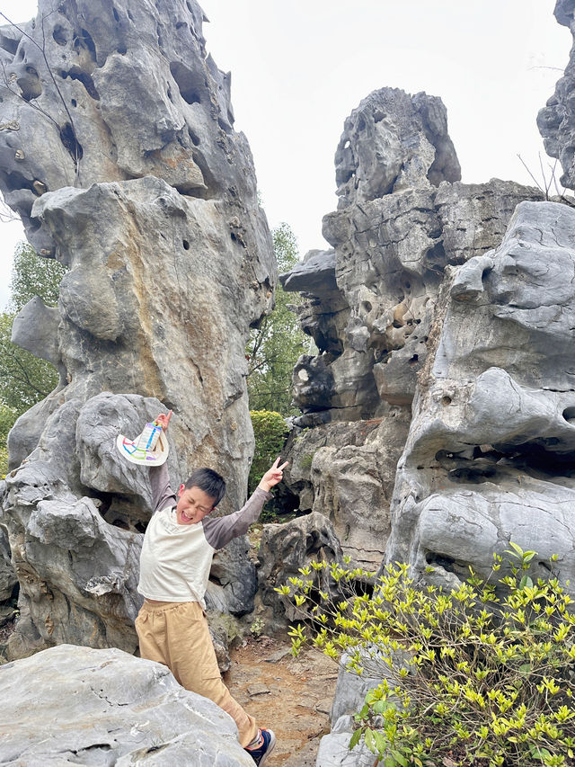 周末親子遊，踏青賞花上海鮮花港攻略