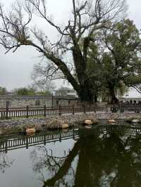 廣西自駕遊（九）