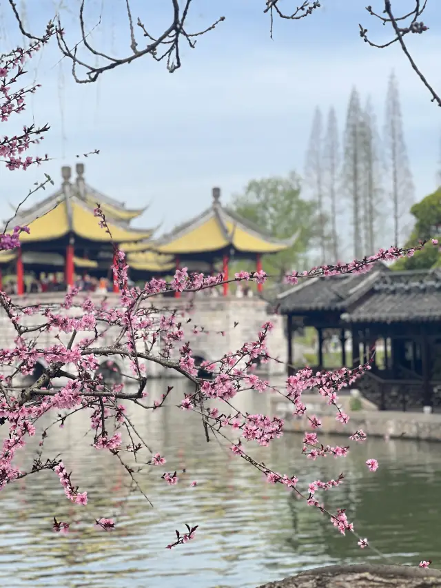 三月の花火、揚州の瘦西湖へ