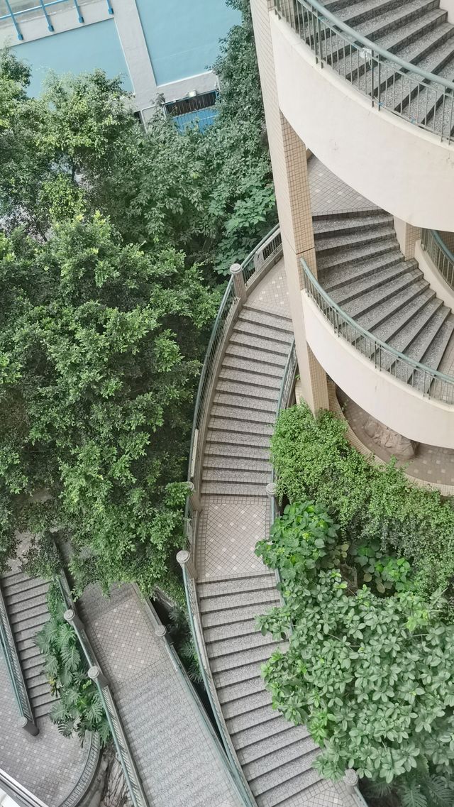 香港pk重慶 魔幻複雜主義街道
