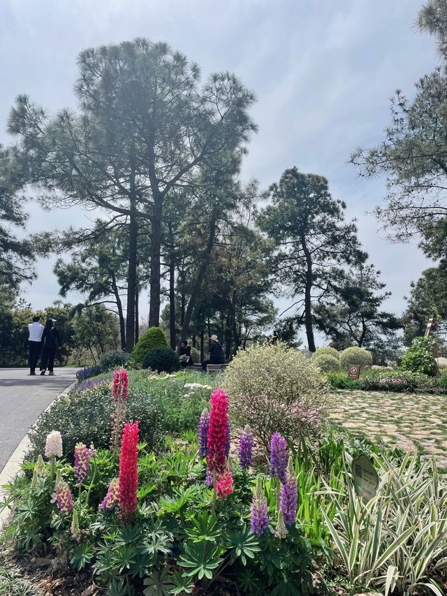 太湖植物園，你不錯過的暢玩南