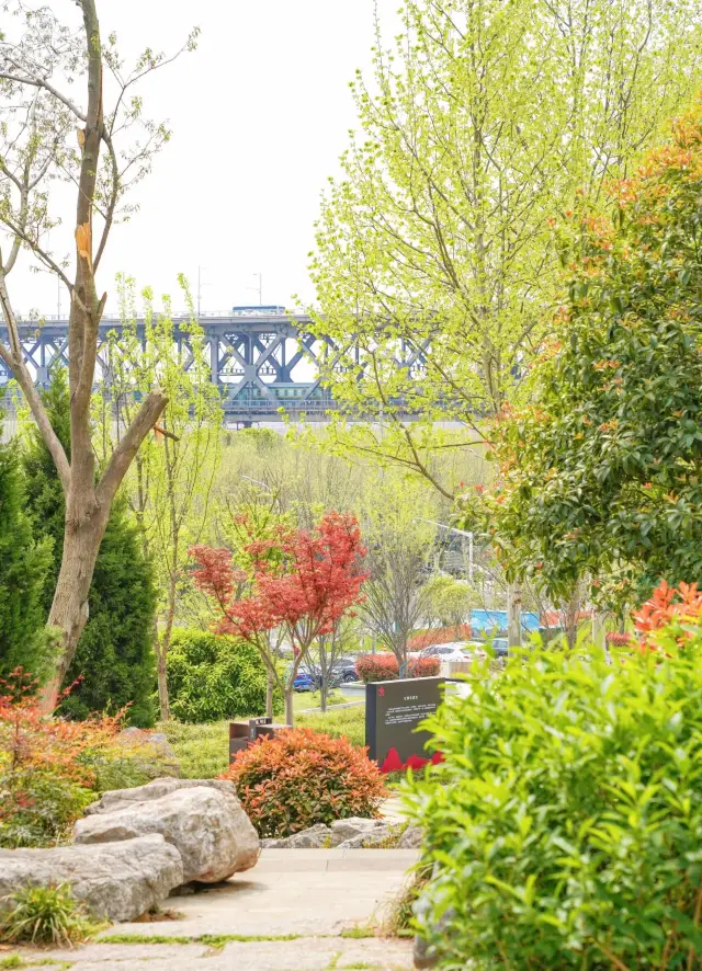 Spring is in the air, and the scenery is splendid as I roam around Wuhan to admire the late cherry blossoms