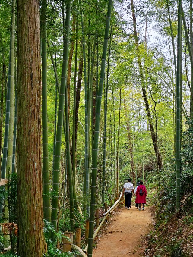 天朗氣清，踏青春山