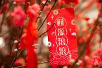 桃花朵朵開過年我選擇了這裡！滿滿的年味