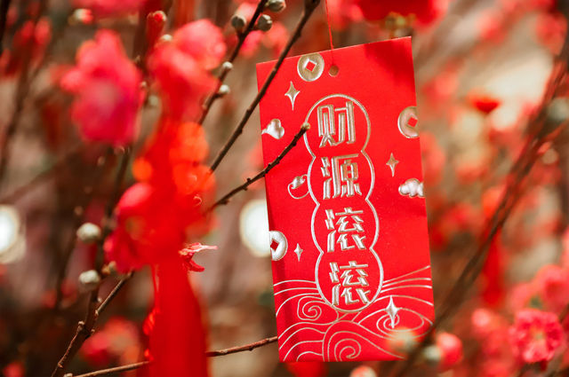 桃花朵朵開過年我選擇了這裡！滿滿的年味