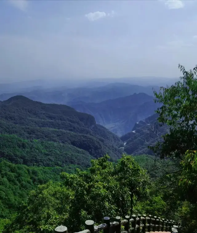 You must visit this guesthouse when you come to Yuntai Mountain! The courtyard is small but the scenery is beautiful, and there are several cute cats